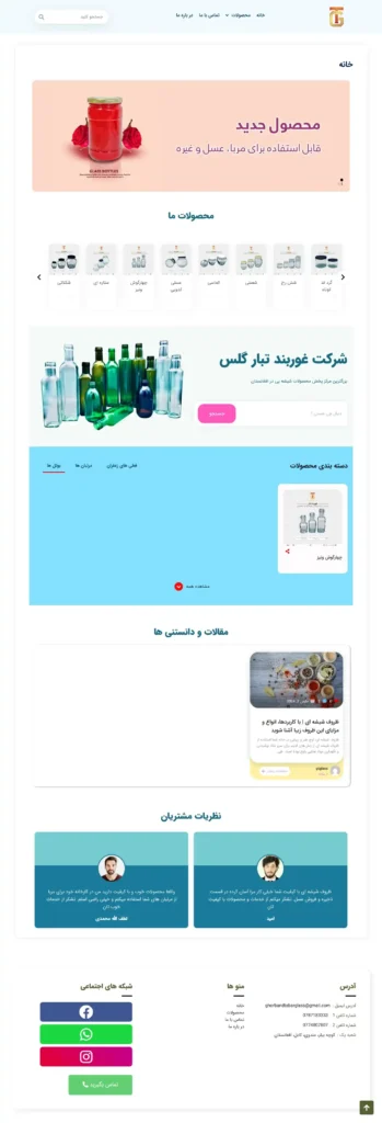 website project overview